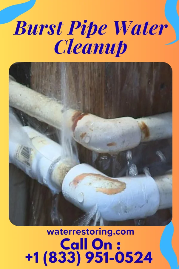 Burst Pipe Water Cleanup in Mullens, WV