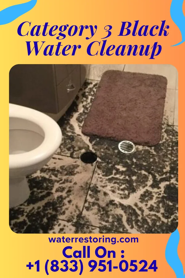 Category 3 Black Water Cleanup in Mullens, WV
