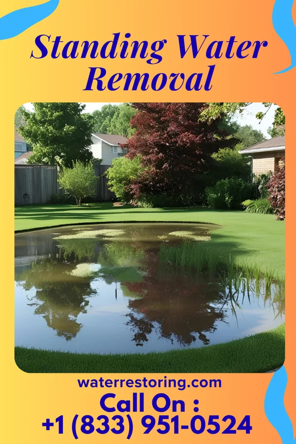 Standing Water Removal in Mullens, WV